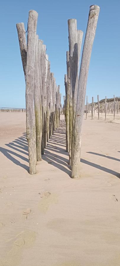 Les Salines Apartamento Oye-Plage Exterior foto